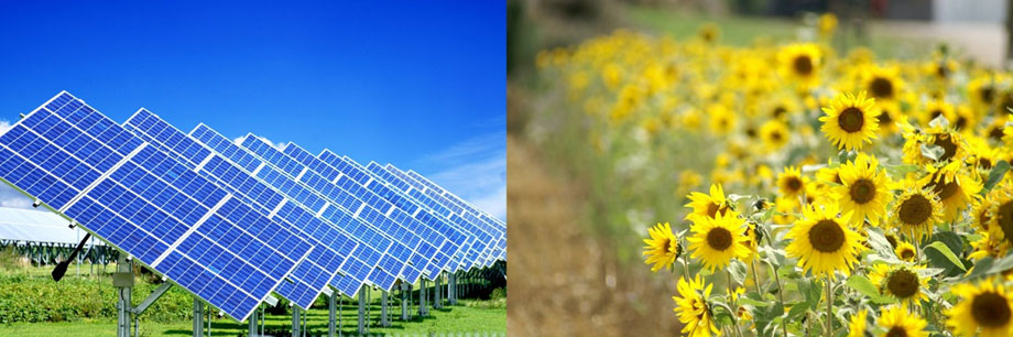 fuentes de energia. Las fuentes de energía